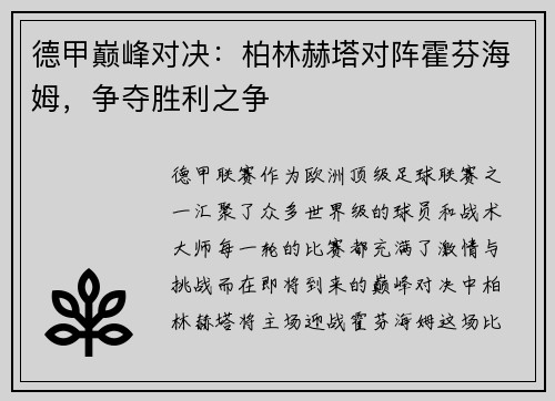 德甲巅峰对决：柏林赫塔对阵霍芬海姆，争夺胜利之争